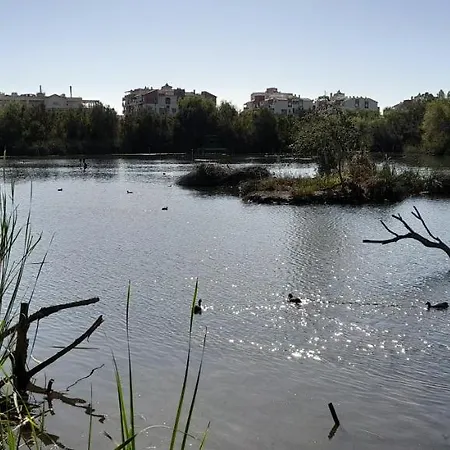 El Penon Idilico Piso A Pie De Playa * Salobreña